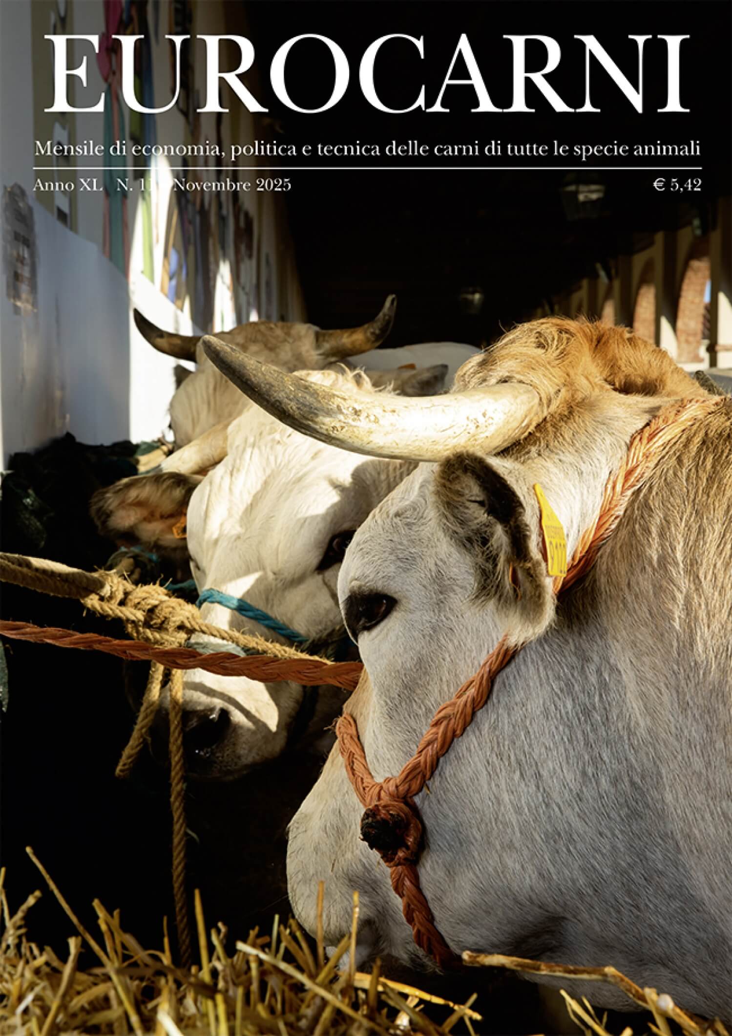 Eurocarni N. 11 del 2025